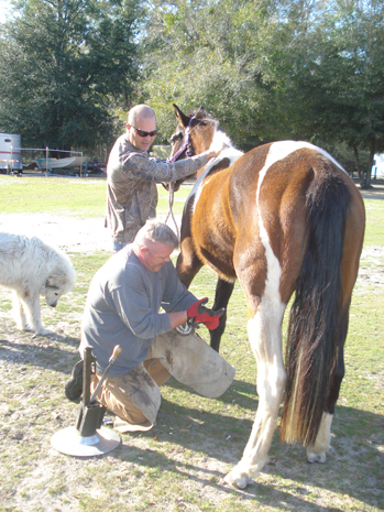 Shoeing